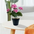 thumbnail image 4 of pstuiky Plantas en maceta con flores de manzano silvestre simuladas ideales para la decoración del hogar y la oficina., 4 of 6