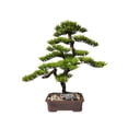 thumbnail image 1 of Árbol de bonsái artificial de estilo chino con madera realista y plantas falsas de maceta de cerámica for oficina en casa, 1 of 5