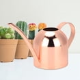 thumbnail image 4 of Regadera para plantas, regadera de acero inoxidable de 500 ml, regadera de acero inoxidable, olla rociadora, funcionalidad de alta precisión, 4 of 8