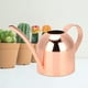 thumbnail image 4 of Regadera de acero inoxidable de 500 ml con acabado en oro rosa, ideal para plantas de interior y exterior, boca larga, 4 of 8