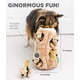 thumbnail image 5 of Juguete de peluche Outward Hound Hide-A-Squirrel Squeaky Puz, 5 of 23
