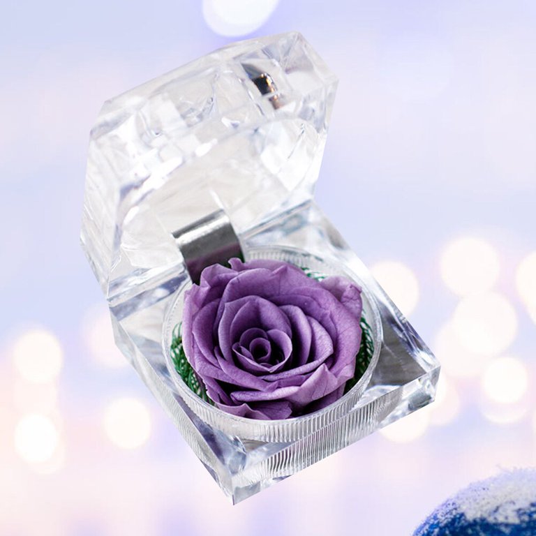ROMANTIC RING BOX 1set