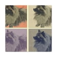 thumbnail image 1 of Keeshond Pop Explosion - Canvas, 1 of 10
