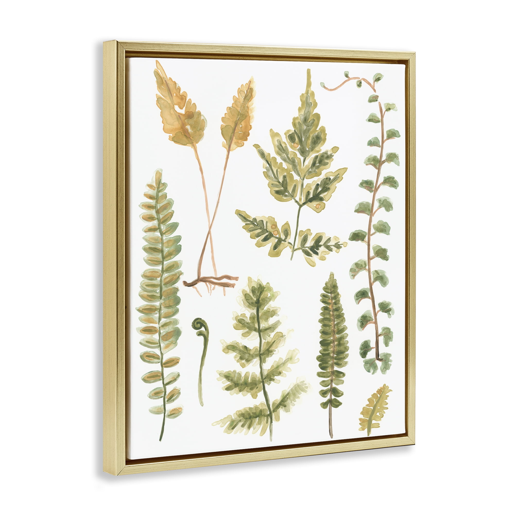 Stupell Industries Varied Fern Leaves Botanical & Floral Painting Gold Floater Framed Art Print Wall Art, 17 x 21