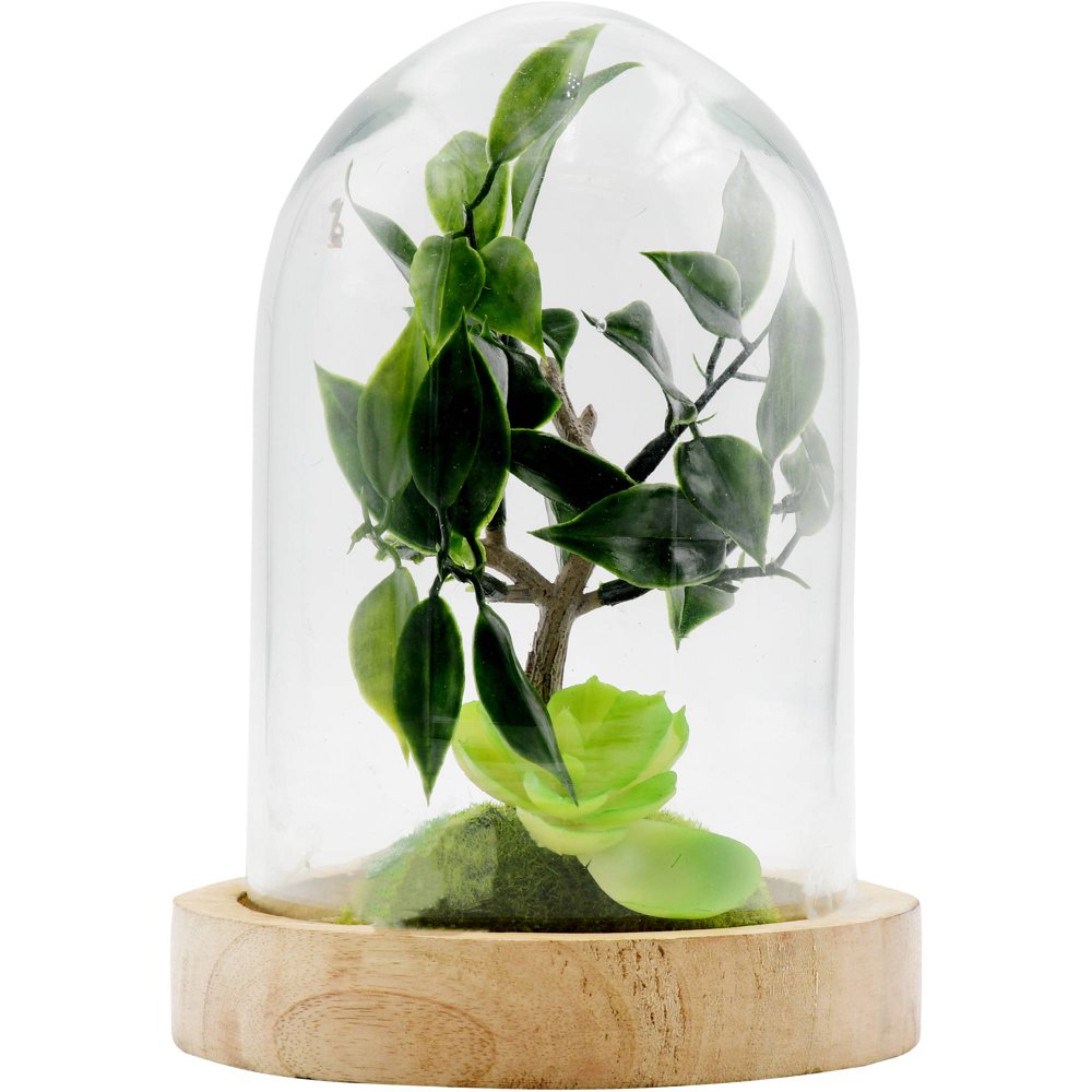 Better Homes & Gardens Tabletop Dome Terrarium
