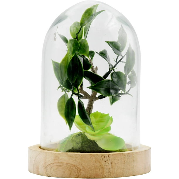 Better Homes & Gardens Tabletop Dome Terrarium - Walmart.com - Walmart.com