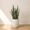 White, variant on Ecobo 23.6 inches Eco-Friendly Round Pot Planter Ravina Indoor/Outdoor use, Durable, Versatile & Lightweight, Designed by Brazilian Artisans, Contemporary All-Weather Design –White
