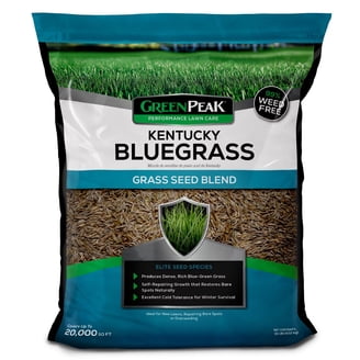 Zenith Zoysia Grass Seed - 25 Lbs. - Walmart.com