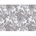 thumbnail image 2 of Zelouf Cosmo Print  , Sewing, DIY, Crafts Fabric by the Yard, 172 Wht/lime, 20 Yard, 2 of 2