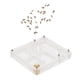 thumbnail image 5 of El Terrario Transparente de La Casa Del Animal Doméstico de La Embroma Zulema Nido de la vivienda ANT de insectos, 5 of 8