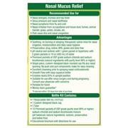 NeilMed Sinus Rinse Extra Large Bottle Kit 16oz with 10 Premixed Packets