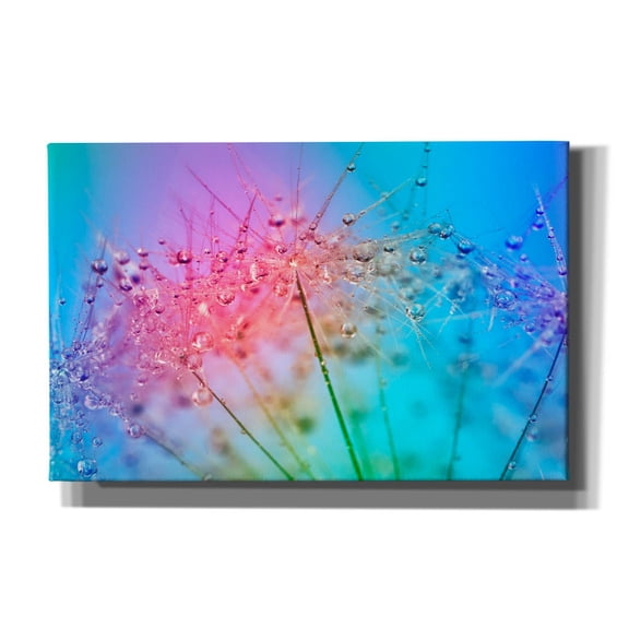 Epic Graffiti 'Rainbow Droplets' by Cora Niele, Canvas Wall Art, 40"x26"
