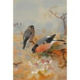 thumbnail image 2 of Archibald Thorburn 17x24 Black Ornate Framed Double Matted Museum Art Print Titled: Bullfinches (1908), 2 of 5