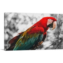 ARTCANVAS Red And Green Ara Parrot Canvas Art Print - Size: 26" x 18" (0.75" Deep)