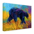 thumbnail image 3 of Trademark Fine Art Marion Rose Spring Stroll Canvas Wall Art - 18x24, 3 of 5