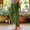 Green, variant on Outfmvch Gauze Pants for Women Casual Summer，Lounge Pants Women，Skinny Jeans for Women，Cargo Pants Women，Leggings for Women，Wide Leg Linen Pants for Women，Straight Leg Pants Women，Flowy Pants Beige，L