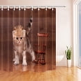 thumbnail image 1 of Cortina de Baño ABPHQTO Gato Lindo con Silla de Madera 160x180 cm, 1 of 1
