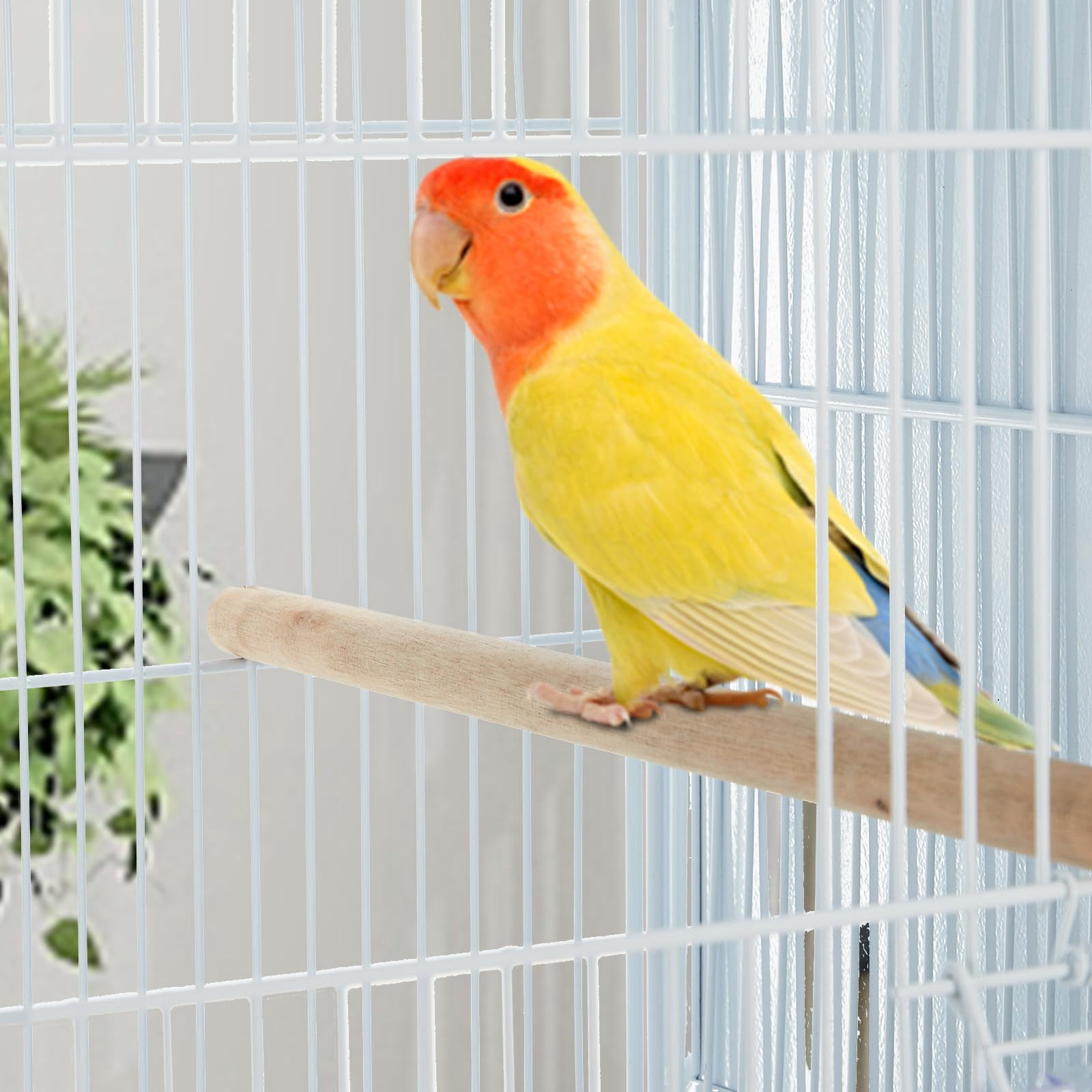 Ataucjin Standing Large Bird Cage, Wrought Iron Flight Bird Cage with Rolling Stand and Slide Out Tray, Parakeet Cage Bird Cage for Parrots, Macaw, Cockatiels, Canary, Finch, Lovebirds, Pigeons