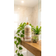 thumbnail image 4 of Shampoo Baba de Caracol Reparación Intensa Viedeluxe 500 ml Hidratante Cabello, 4 of 8