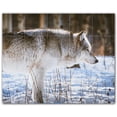thumbnail image 1 of Picture-Tiles.com: Wolf Ceramic Tile Wall Mural WAL501238-54XL. 60"W x 48"H using (20) 12" x 12" Ceramic Tiles-Satin Finish, 1 of 3