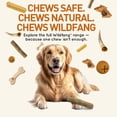 thumbnail image 3 of Wildfang® 3 Coffee Wood Dog Chew Stick (Size S) - Natural Dog Chew Toy for Aggressive Chewers, 3 of 7