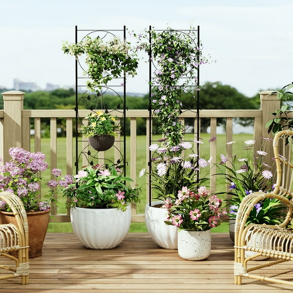 Metal Garden Trellis – Black Sturdy 72x20" – Outdoor Climbing Plant Support – Roses, Vines, Veggies & Flowers – Rustproof, Freestanding – Patio & Yard – 2PCS – Black