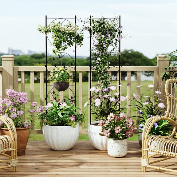 2 Pack 72x20In Garden Trellis for Climbing Plants Outdoor, Black Metal Iron Trellis for Vines, Flowers - Plant Trellis Outdoor, Patio & Garden Decor
