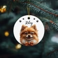 thumbnail image 6 of Personalized Pembroke Welsh Corgi Christmas Ornament 2025 Name Pembroke Welsh Corgi Ornament, Gift for Dog Dad Dog Mom, Pembroke Welsh Corgi Portrait Wearing Glasses Ornament Keepsake qiG8cF, 6 of 6