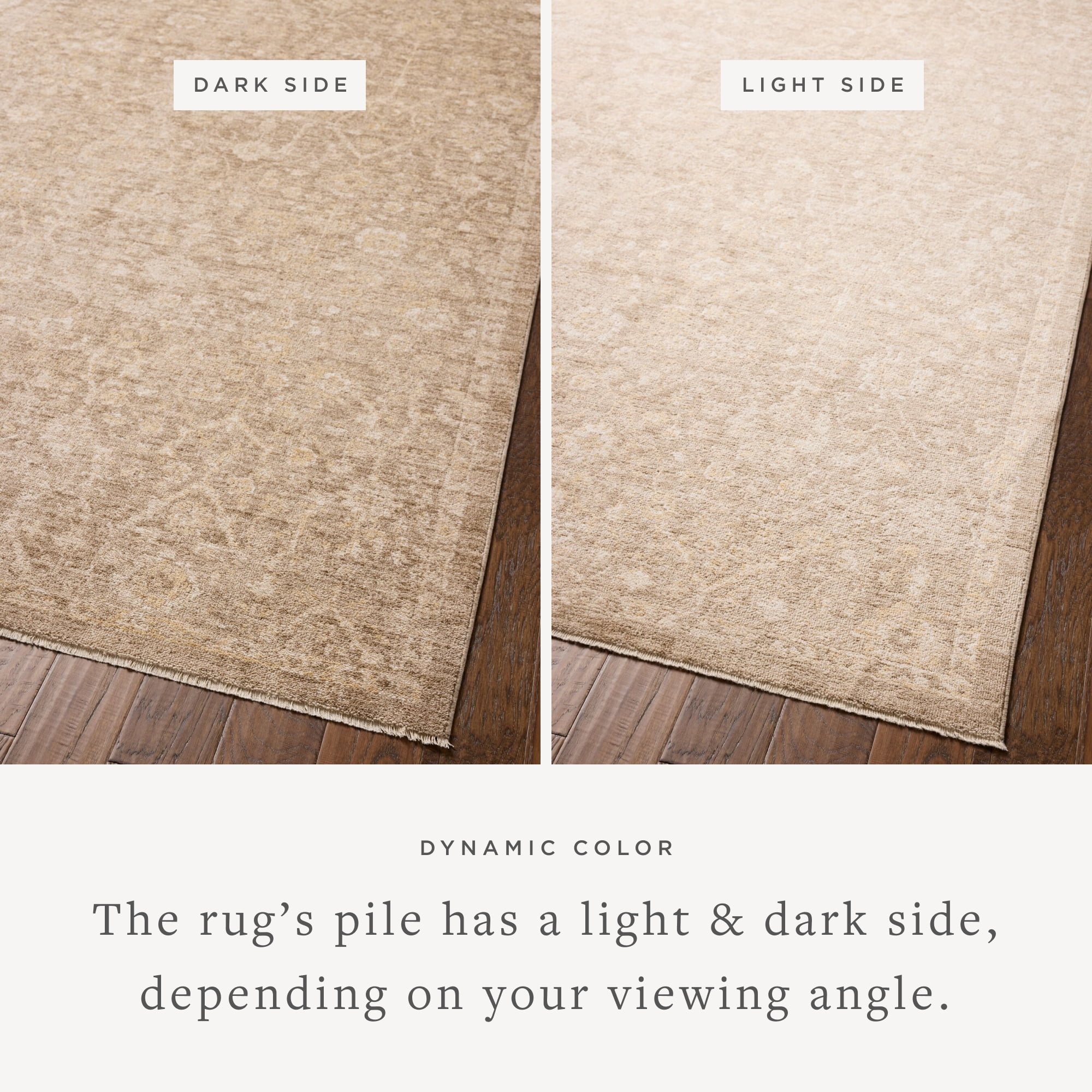 Chris Loves Julia x Loloi Palma Bark / Natural 3'-6" x 5'-6" Accent Rug
