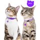 thumbnail image 5 of Collares reflectantes para gatos con cierre de seguridad y campana, paquete de 2 – Collares ajustables para gatos y gatitos, 5 of 5