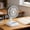 White, variant on Desktop Fan Round Base Rechargeable Portable Small Fan Quiet Adjustable Speed Cooling Fan, for Home Office Outdoor Travel Gift Use