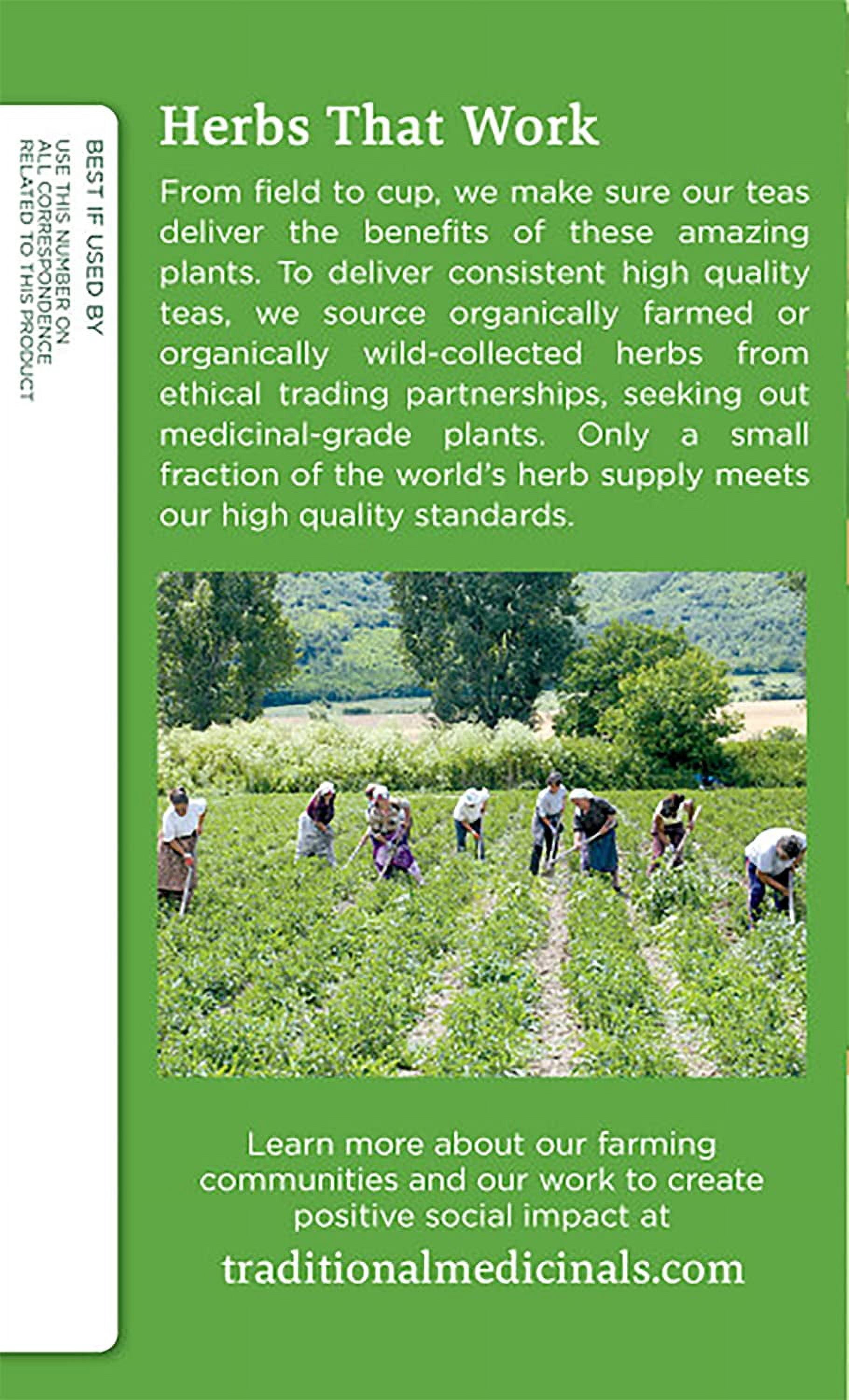 Traditional Medicinals Green Tea Peppermint Green Tea Organic, 16 CT (Pack of 3)