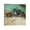 Frame-style, variant on Dutch Painter Vincent Van Gogh Caravans, Gypsy Camp Near Arles Poster Canvas Art Poster and Wall Art Picture Print Modern Family bedroom Decor Posters 16x16inch(40x40cm)