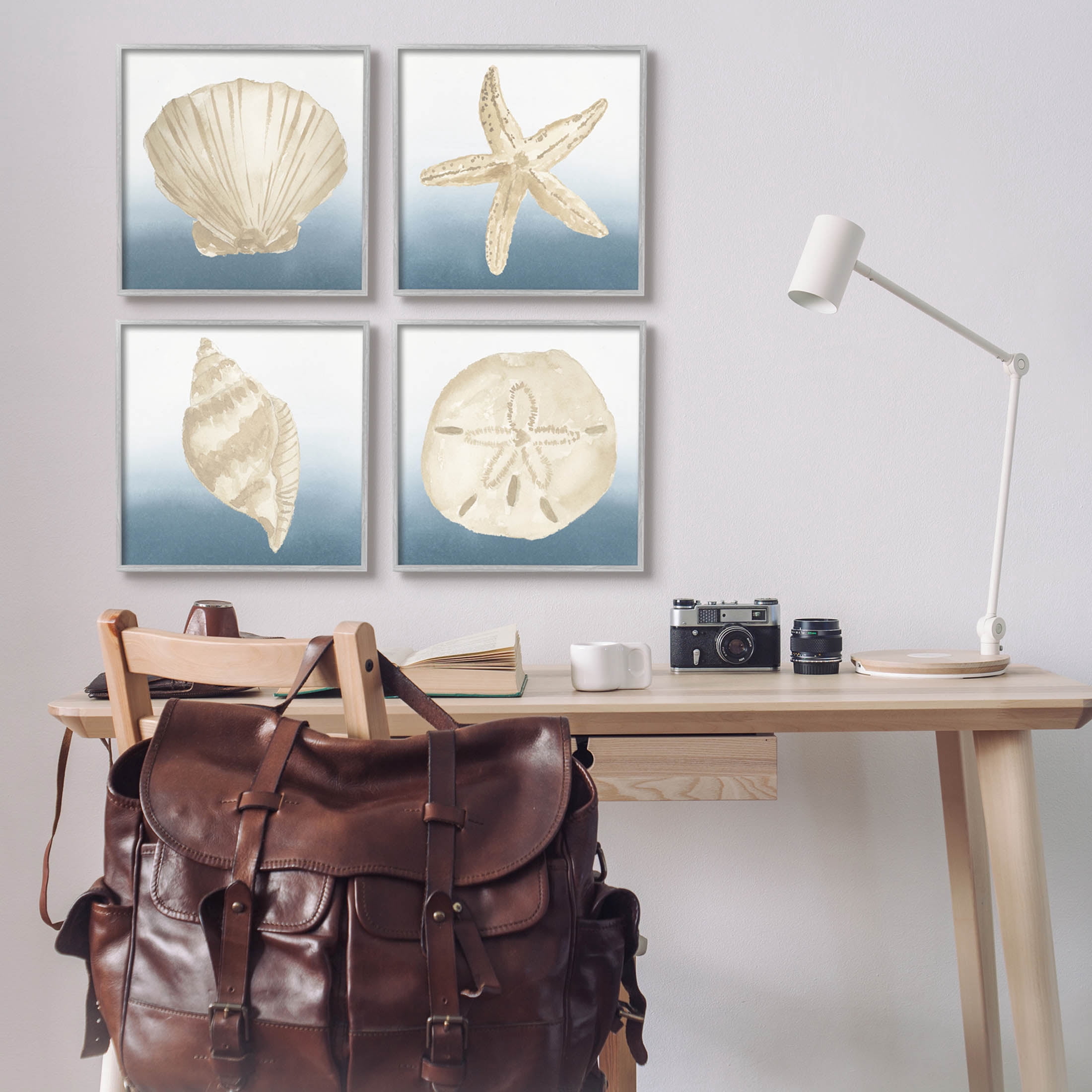 Maritime Seashells Ocean Beach Life Animals & Insects Graphic Art Gray Framed Art Print Wall Art, Set of 4