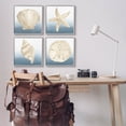 thumbnail image 2 of Maritime Seashells Ocean Beach Life Animals & Insects Graphic Art Gray Framed Art Print Wall Art, Set of 4, 2 of 8