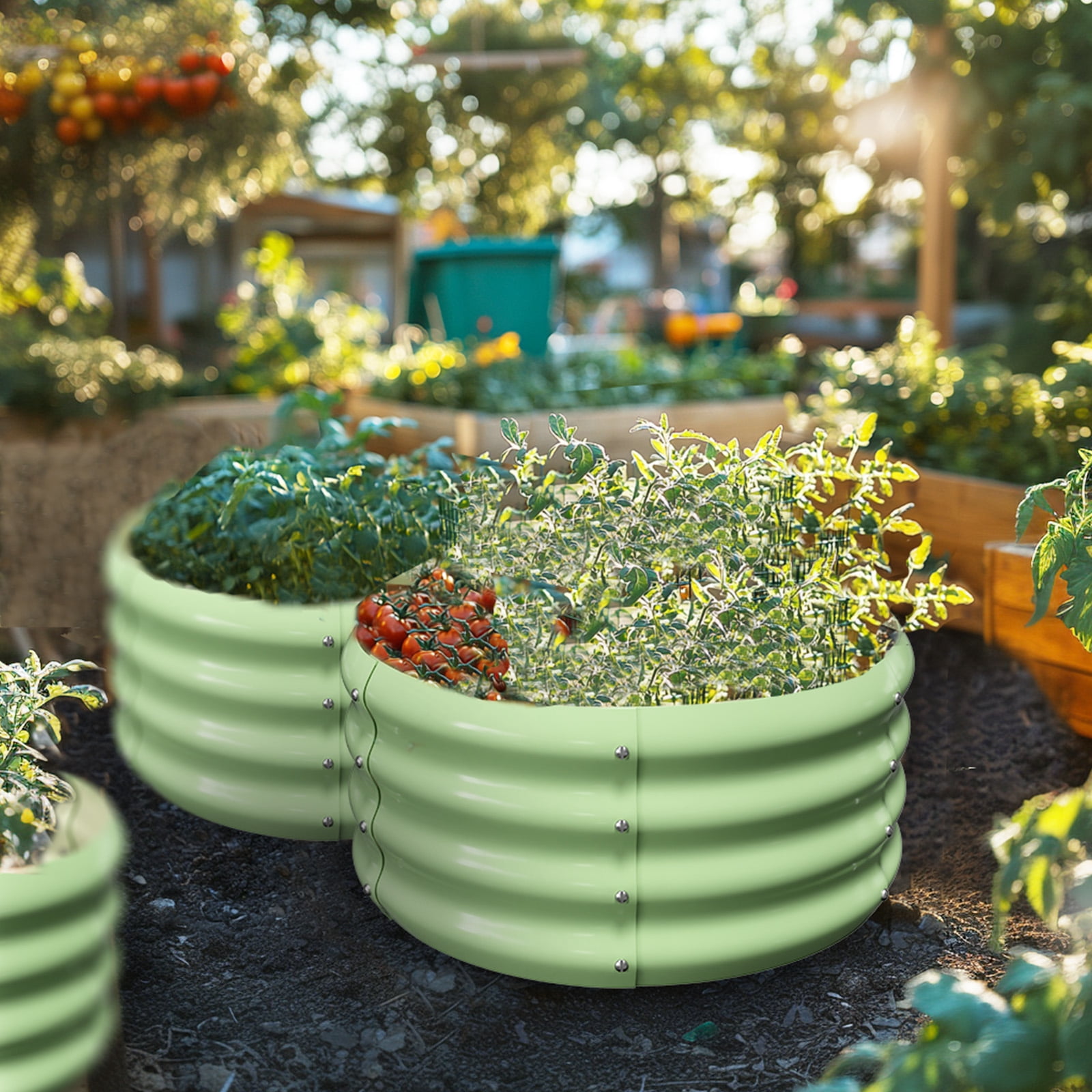 MOPHOTO 3 Pcs 24x24x12in Round Galvanized Raised Garden Bed with Tomato Cages, Metal Planter Box for Planting Plants Vegetables Herbs Flowers, Green