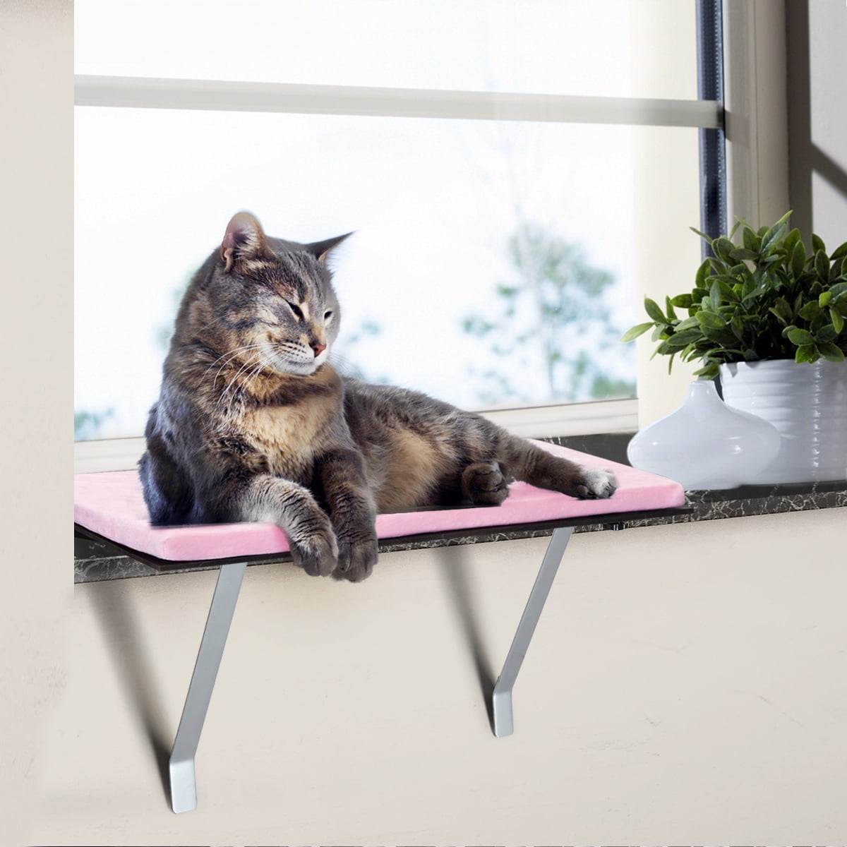 cat window sill bed