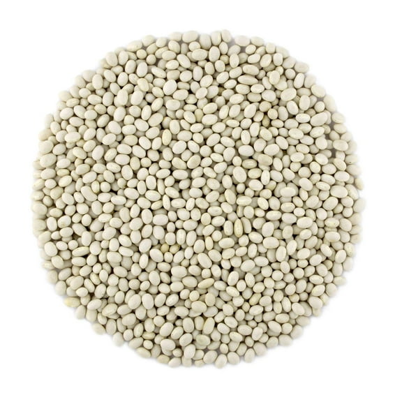 Primal Harvest Organic Navy Beans Raw non GMO Vegan Bulk - 5LB