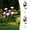 Pink, variant on Usbinx Life Solar Rose Flower Ground Lights 2-Pack Waterproof LED Outdoor Garden Stakes 71 cm — Warm White Multi-Color Decorative Solar Lighting