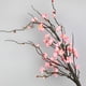 thumbnail image 5 of 1、Características:, 5 of 10