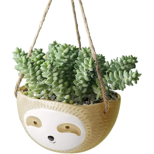 Macetas para plantas de bonsái con flores de perezoso, lindas macetas para plantas de animales, macetas para plantas suculentas (cesta colgante, maceta redonda, amarillo)