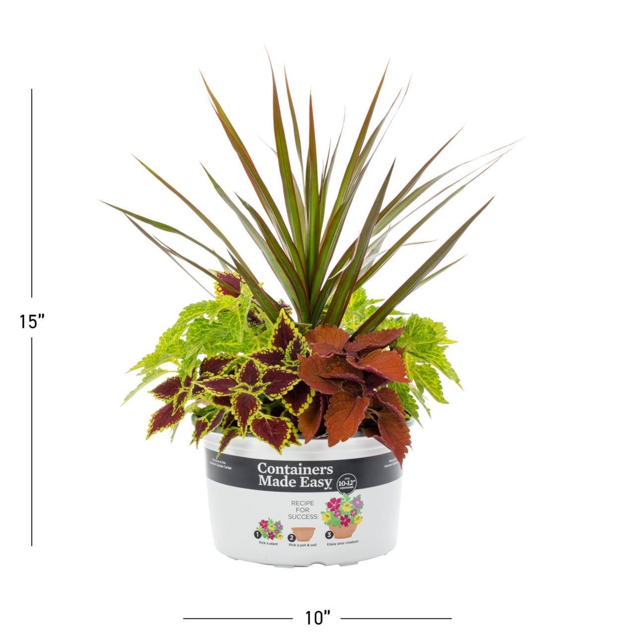 Better Homes & Gardens 1.5-Gallon Coleus Live Annual Plant with Vibrant Orange Red Yellow Foliage