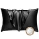 thumbnail image 1 of Almohada BHZ King Size de Plumas y Plumón de Ganso con Funda de Satén Negra, 1 of 8