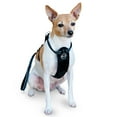 K&H Travel Safety Harness