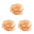 thumbnail image 3 of Qarigey Bufanda de mujer Estilo simple Pañuelo con estilo Pañuelo para el cuello Moda Hermosa Color sólido Bufandas para niñas para exterior Carne Type1 NO1 Qarigey CBP378493, 3 of 6