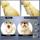 thumbnail image 2 of Collar De Cadena Para Perro De Oro De 18 Quilates Sobre Cade, 2 of 7
