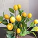 thumbnail image 5 of Ramas Rama de Limón Artificial 65cm Ramas Largas de Limón Amarillo Hojas de Hojas de Planta Verde para Sala de Estar Decoración de la Sala de la Sala, 5 of 6
