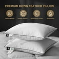 DWR Luxury Goose Feather Down Pillows for Sleeping 100 2 Pack Organic