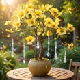 thumbnail image 4 of 6 Pcs Crystal Sun catchers Plant Decorations Charms Hanging Prisms for Window Indoor Garden Plant Pot Holder Hanger Tree Vine Home Chandeliers Outdoors, 4 of 6