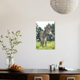 thumbnail image 4 of Donkey, Baby 5 Days Old, Animals Botanical Scenic Unframed Photographic Print Wall Art Sold by ArtCom, 4 of 4